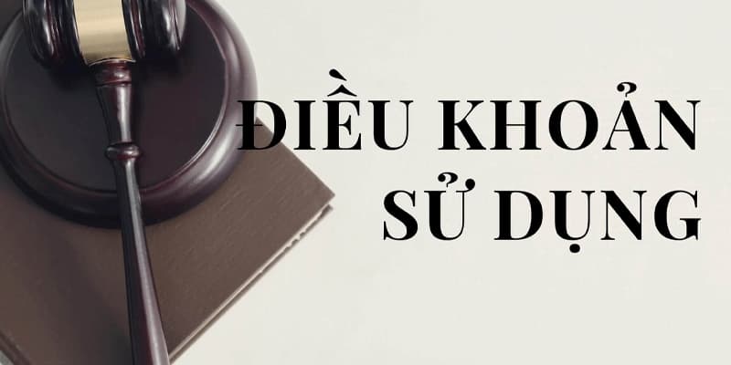 Thông tin chung về điều khoản sử dụng của rongbachkim
